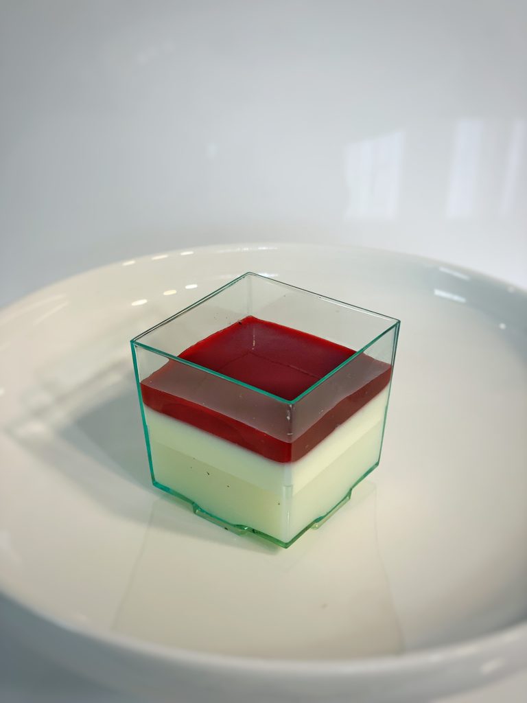 Panacotta (mangue ou framboise)
